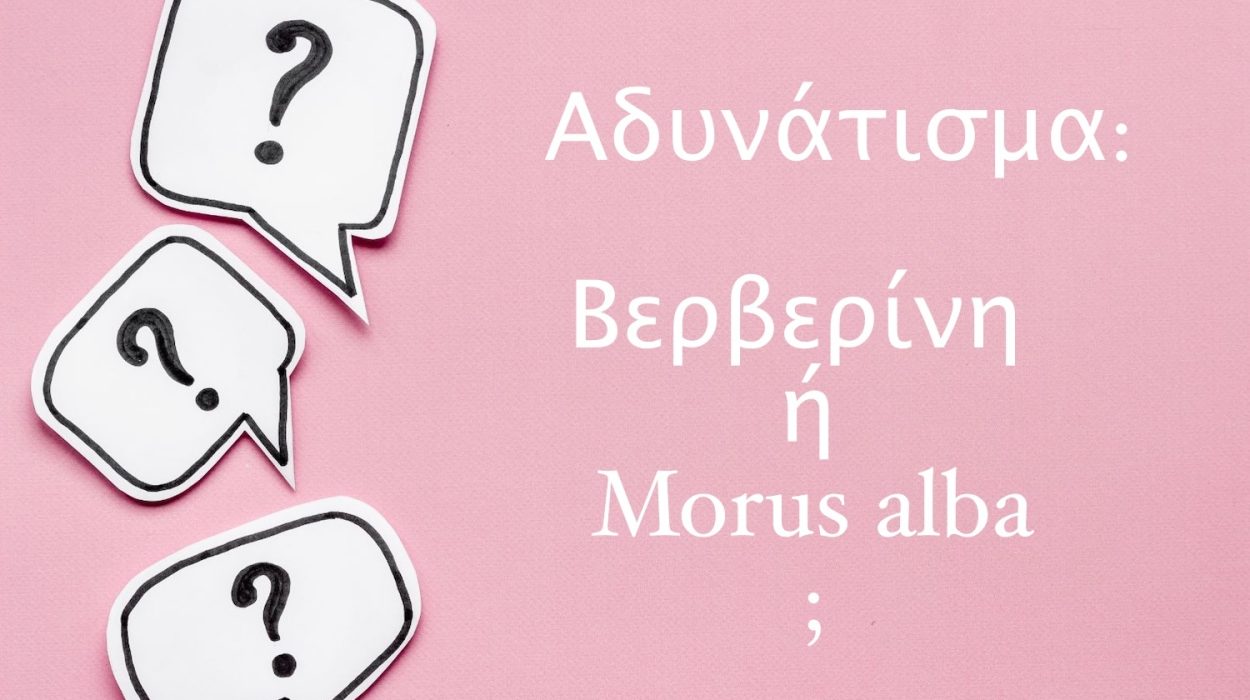 Σε ροζ πίνακα εμφανίζονται συννεφάκια με ερωτηματικά ενώ δίπλα υπάρχει το κείμενο: Αδυνάτισμα: Βερβερίνη ή Morus alba;